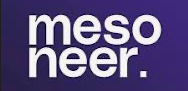 mesoneer logo 2